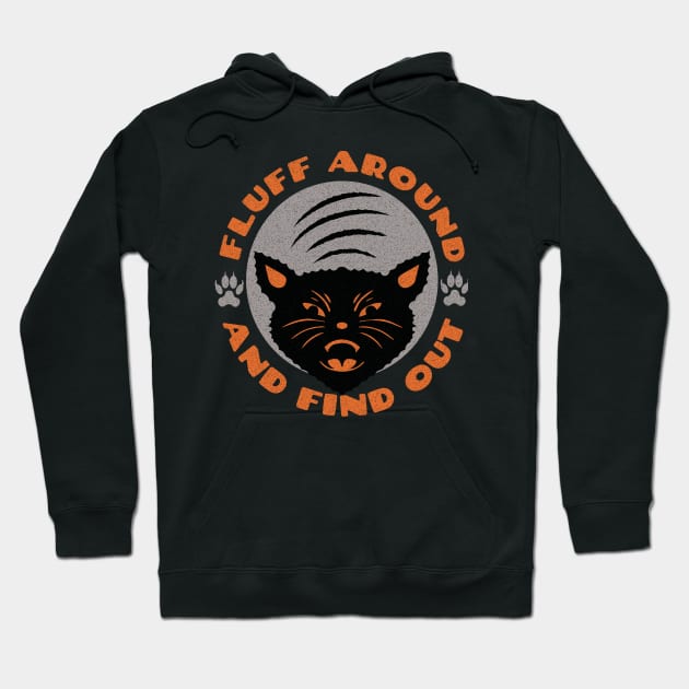 Fluff Around And Find Out Cut Funny Cat Lovers Cat Sayings Hoodie by mstory